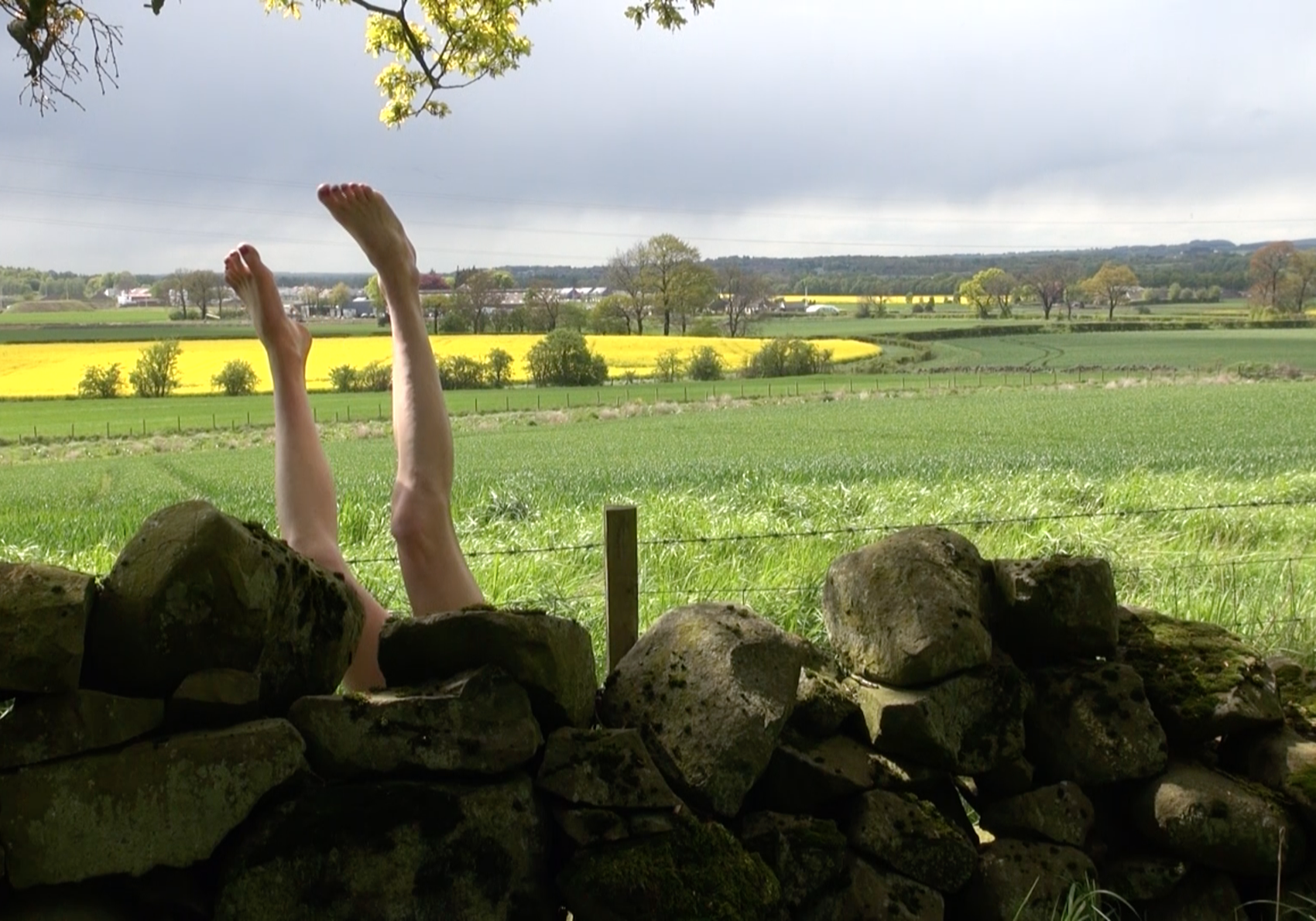 Two bare legs sticking up from behind a stone wall in a field